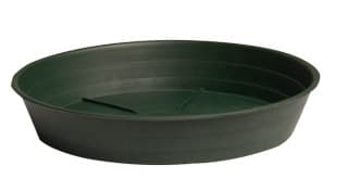 Premium Green Saucer 16", pack of 10 — product photo