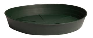 Premium Green Saucer, 6", pack of 25 — product photo