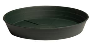 Green Premium Saucer, 8", pack of 25 — product photo