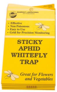 Seabright Laboratories Aphid/Whitefly Traps, 5 pack — product photo