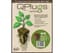 iHORT Q-Plug Cubes, bag of 100 — product photo