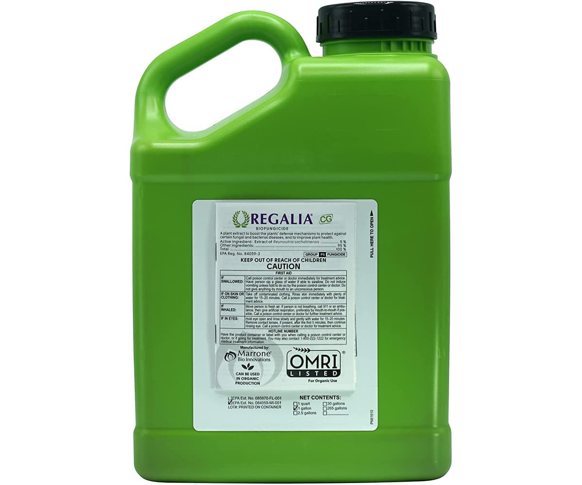 Marrone Bio Regalia CG® Biofungicide 1 GALLON * — product photo