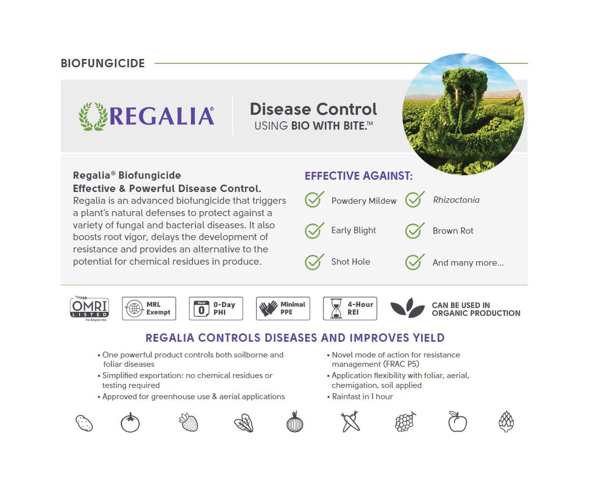 Marrone Bio Regalia CG® Biofungicide 2.5 GALLON * — product photo