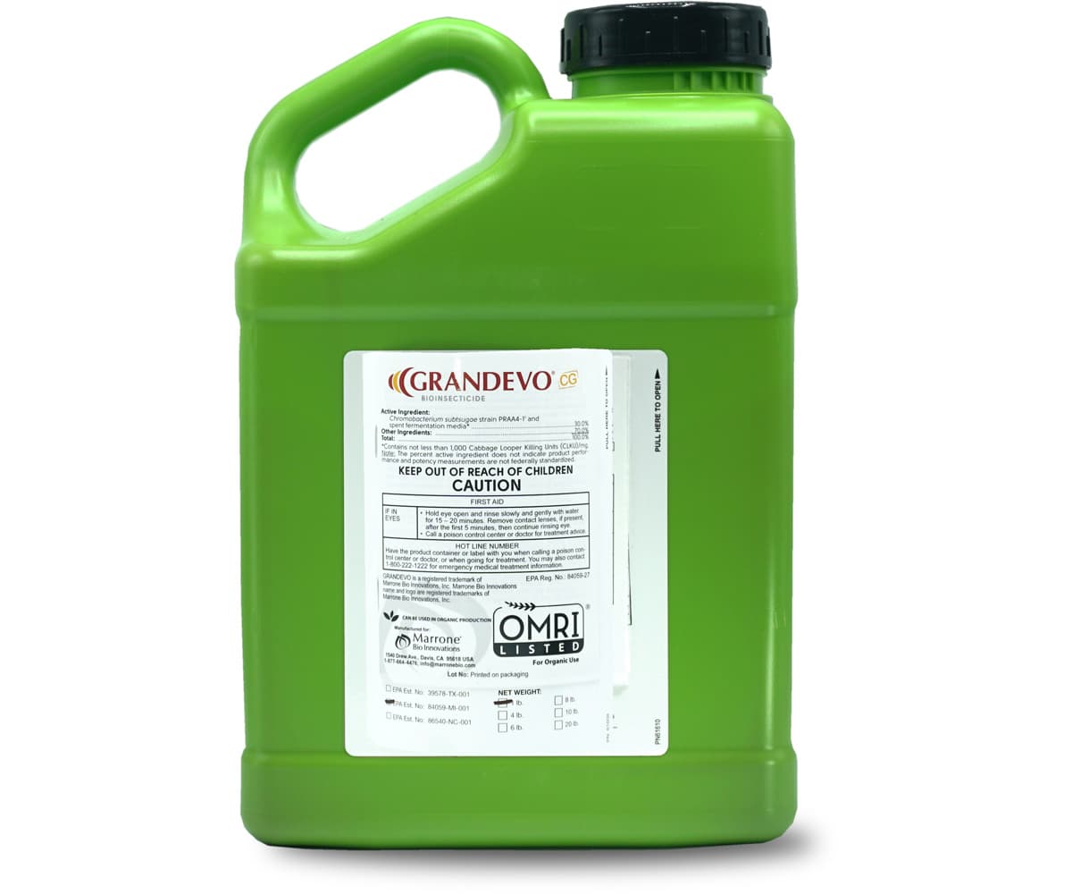 Marrone Bio Grandevo CG®Bioinsecticide  4 POUND * — product photo