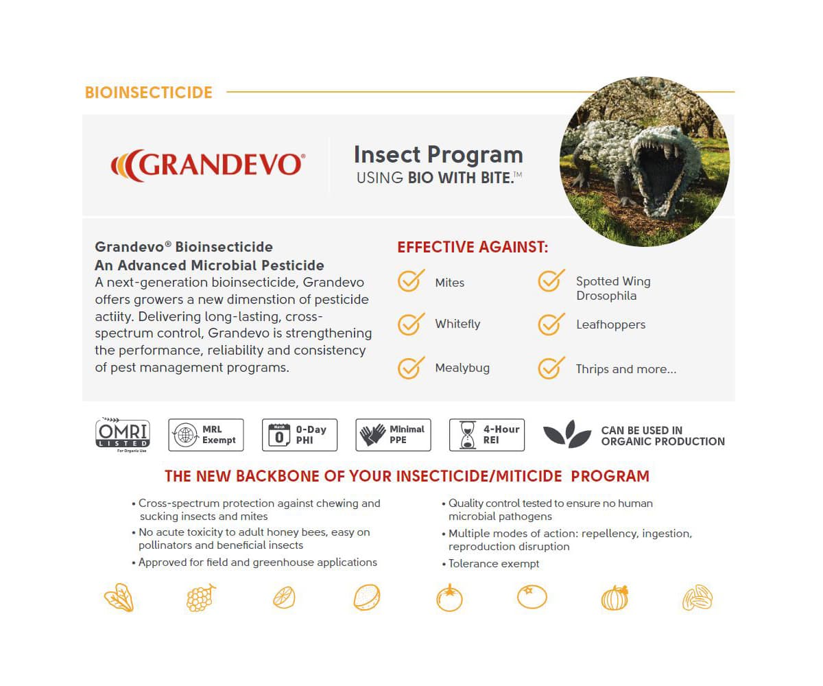 Marrone Bio Grandevo CG®Bioinsecticide 10 POUND * — product photo