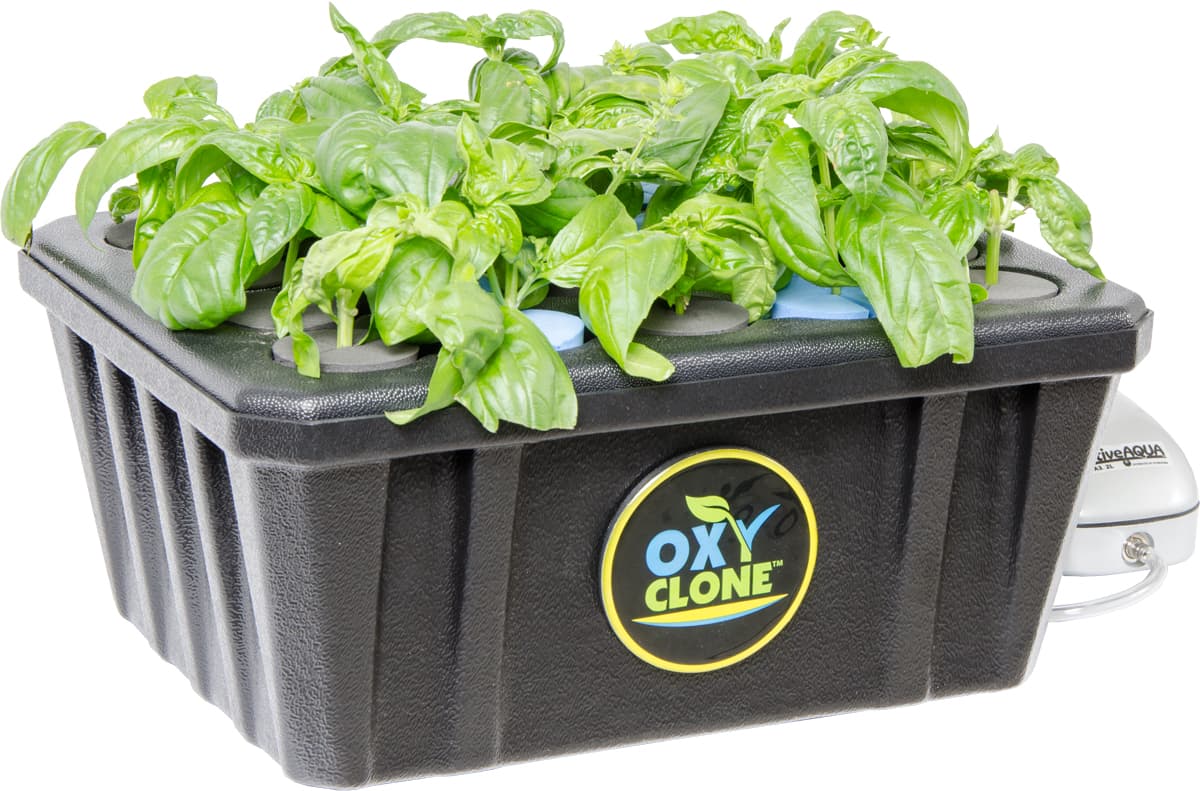 oxyCLONE PRO Series 20 Site Cloning System — product photo