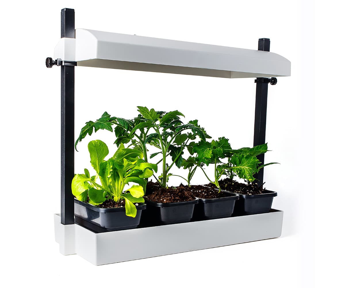 SunBlaster Micro T5 Grow Light Garden, White — product photo