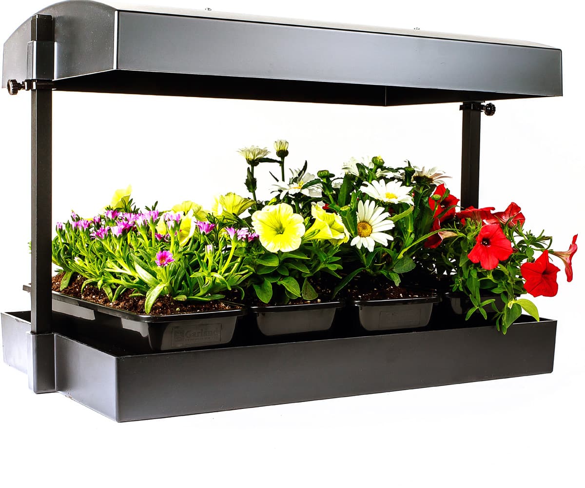 Grow Light Garden — product photo