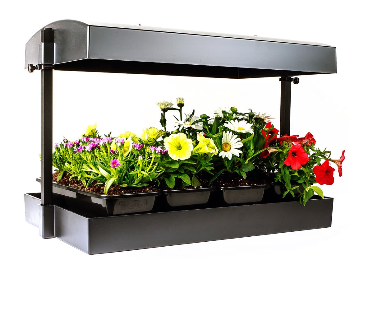SunBlaster Growlight Garden, Black — product photo