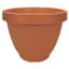 ITML CBU1550 15.50 CENTABELA PLNTR CLAY 12/CS 36/P — thumbnail 1 of 2