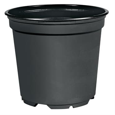 POPP VCC10F 04.00 STD BLK 2668/CS THERMO — photo 1 of 2
