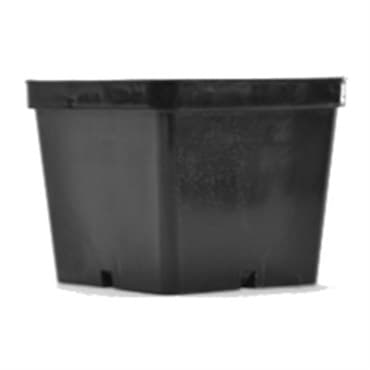 BLD 04.50 SQ POT  BLK 450/CS 28CS/PL  691405 — photo 1 of 2