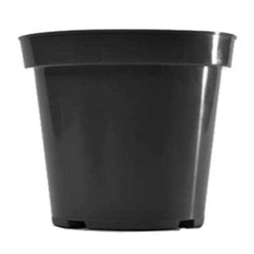 BLD 04.50  GERANIUM BLK 600/CS 49/PL 693405 — photo 1 of 2