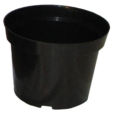 BLD 07.50 AZ BLK 200/CS 30CS/PL 692408 — photo 1 of 2