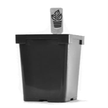 Belden Jumbo Jr Sq Pot Black 375/cs — photo 1 of 2