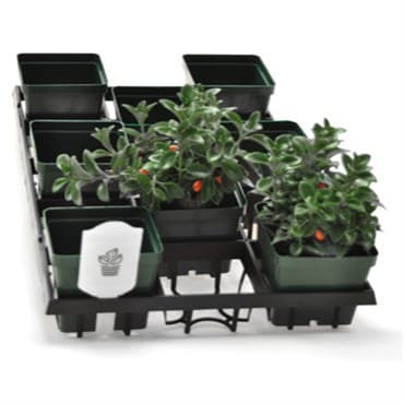 BLD WEBFIT 4515 TRAY 30/CS 42CS/PL  694214 — photo 1 of 2