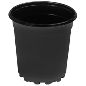 Landmark Trade 06.50 Coex Nursery Pot Black 200 Per Case 48 Cases Per Pallet, 1Gallon — photo 1 of 2