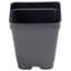 Landmark 03.25 Inch Square T Pot Economy Black 900 Per Case / 36 Cases Per Pallet — thumbnail 1 of 2