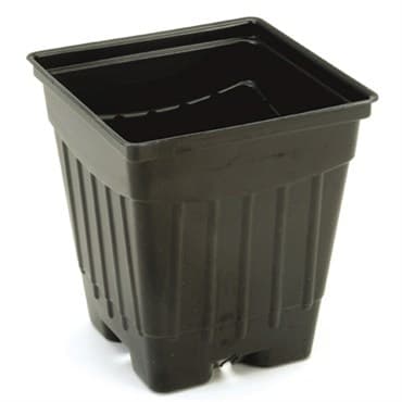 SUM #5 NU5 POT BLACK 450/CS 48CS/PL — photo 1 of 2