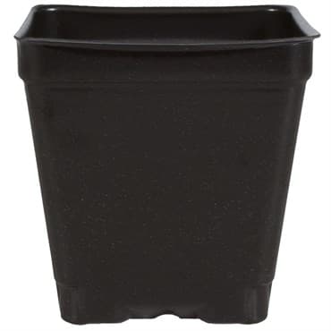 DILLEN DSQVP4PF/D 04.00 SQUARE PF PRESS FIT POT DEEP BLACK  450 PER CASE 54 CASES PER PALLET — photo 1 of 2