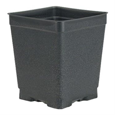 DILLEN DSQVP45PF/D 04.50 SQUARE PF PRESS FIT VAC POT DEEP BLACK 375 PER CASE 28 CASES PER PALLET — photo 1 of 2