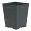 DILLEN DSQVP45PF/D 04.50 SQUARE PF PRESS FIT VAC POT DEEP BLACK 375 PER CASE 28 CASES PER PALLET — thumbnail 1 of 2