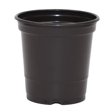 JAN 9CM H 03.50 STD POT BLK/BLK 2340/CS 16CS/PL — photo 1 of 2