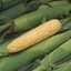 Corn, Peaches & Cream 1/2lb — thumbnail 1 of 2