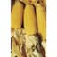 Popcorn, Perdue 410 Hybrid 1lb — thumbnail 1 of 2