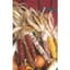 Corn, Ornamental 1lb — thumbnail 1 of 2