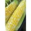 Corn, Honey N Pearl 1/2lb — thumbnail 1 of 2