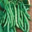 Beans, Burpee Stringless 1/2lb — thumbnail 1 of 2