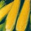 Corn, Nk 199 4oz — thumbnail 1 of 2