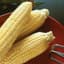 Corn, Sugar Buns Sweet 25lb — thumbnail 1 of 2