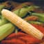 Corn, Providence 25lb — thumbnail 1 of 2