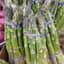 Asparagus, Mary Washington 1/2oz — thumbnail 1 of 2
