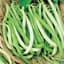 Beans, Topcrop Bush 25lb — thumbnail 1 of 2
