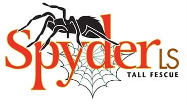 Tall Fescue, Spyder 2LS 50# — photo 1 of 2