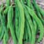 Beans, White Half Runner 1lb — thumbnail 1 of 2