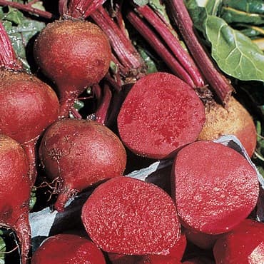 Beets, Crosby Egyptian 1/2oz — photo 1 of 2