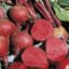 Beets, Crosby Egyptian 1/2oz — thumbnail 1 of 2
