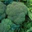 Broccoli, Waltham 1lb — thumbnail 1 of 2