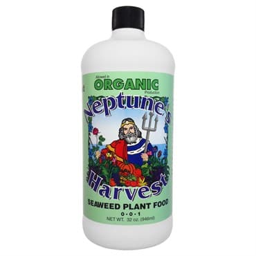 Neptunes Harvest 32oz Seaweed Green Label — photo 1 of 2