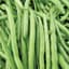 Beans, Black Provider Treated 25lb — thumbnail 1 of 2