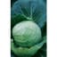 Cabbage, Danish Ballhead 1/2oz — thumbnail 1 of 2