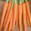 Carrot, Imperator 1lb — thumbnail 1 of 2