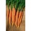 Carrot, Little Finger 1lb — thumbnail 1 of 2