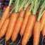 Carrot, Nantes Coreless 1lb — thumbnail 1 of 2