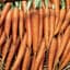 Carrot, Tendersweet 1lb — thumbnail 1 of 2
