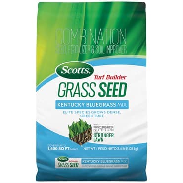 Scotts 2.4# Turf Builder Kentucky Bluegrass — photo 1 of 2